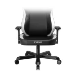 صندلی گیمینگ دی ایکس ریسر Tank Series 2025 Black White - Image 7